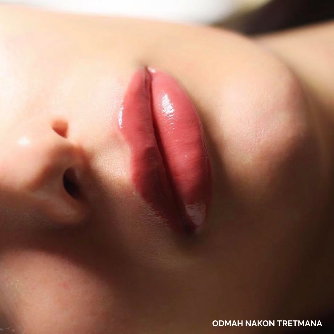 savich nude pigment za usne, trajna šminka usana, savich pigmenti, savich edukacije, savich akademija, boja za trajnu šminku usana, labello lips